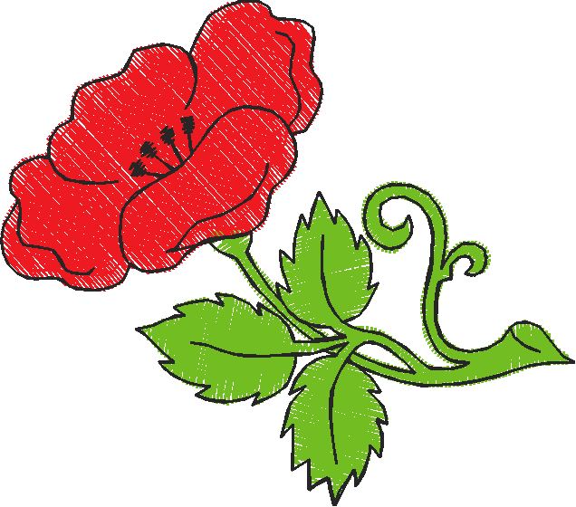 Wildrose