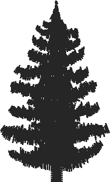 Fo003