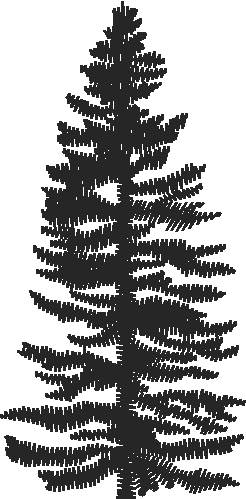 Fo005