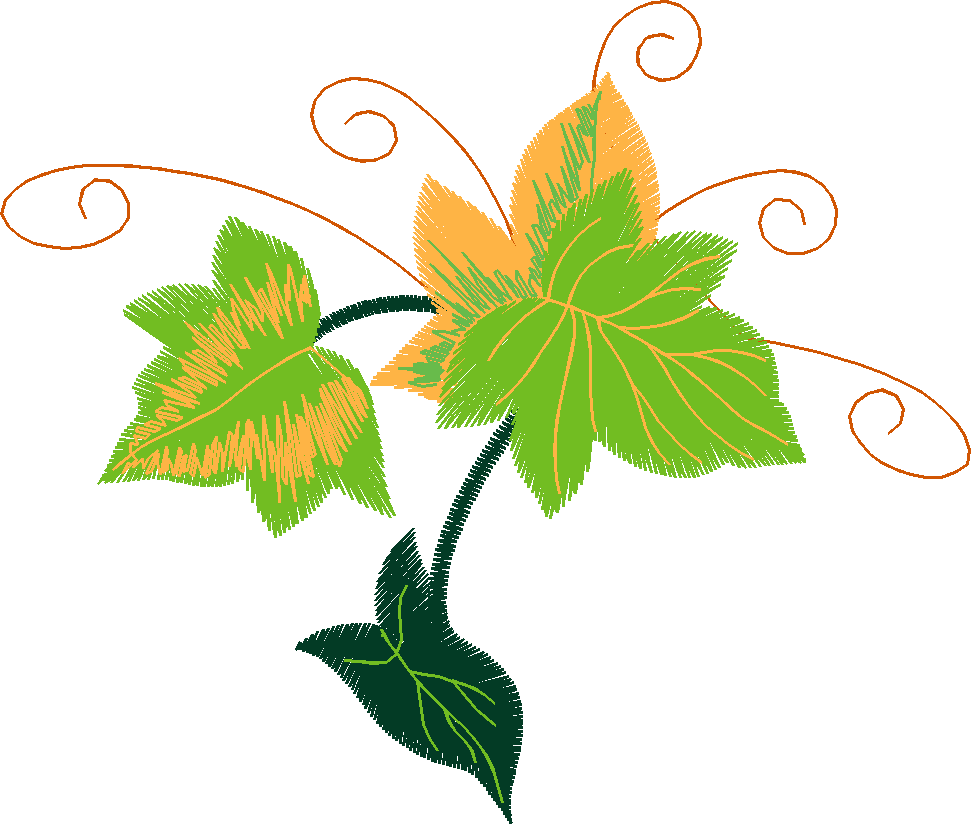 Ivyfree(4x4)