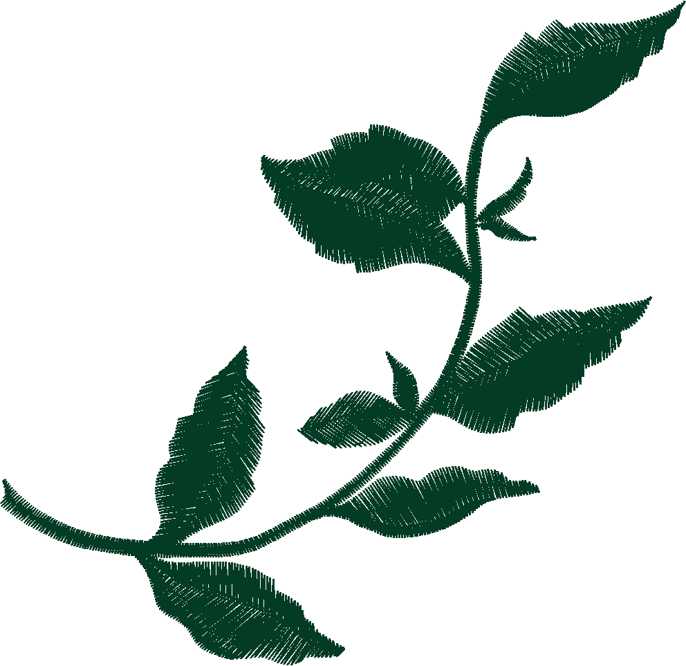 Leaf10