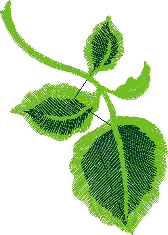 Leaf11
