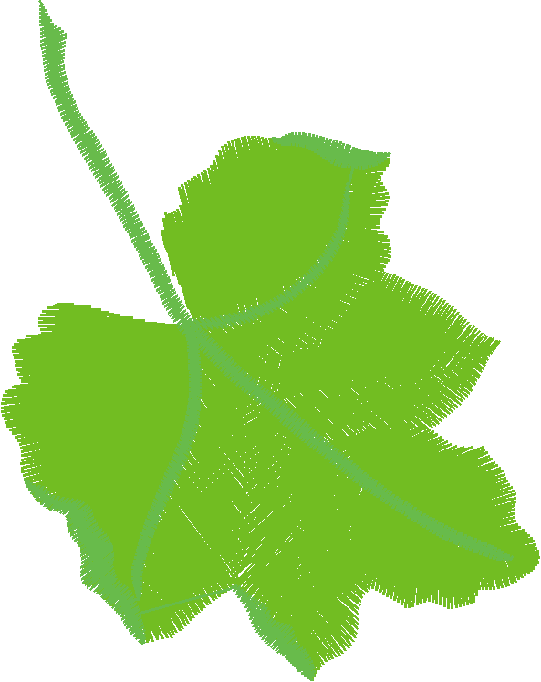 Leaf15