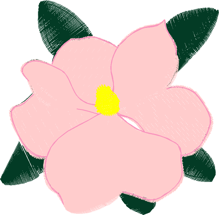 Magnolia