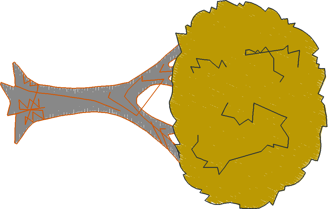 Ny455