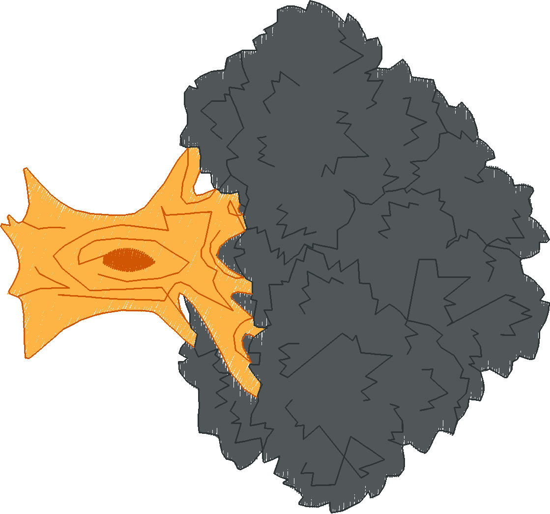 Ny456