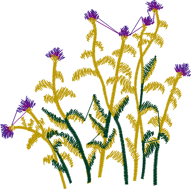Nz13 005