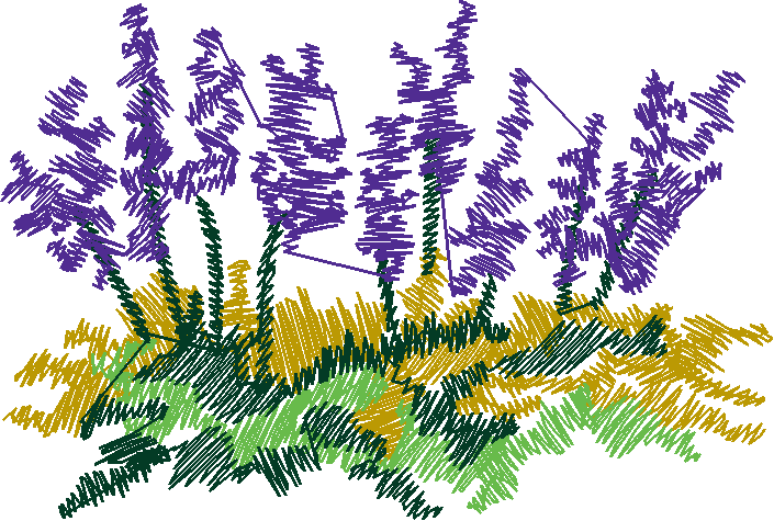 Nz13 008