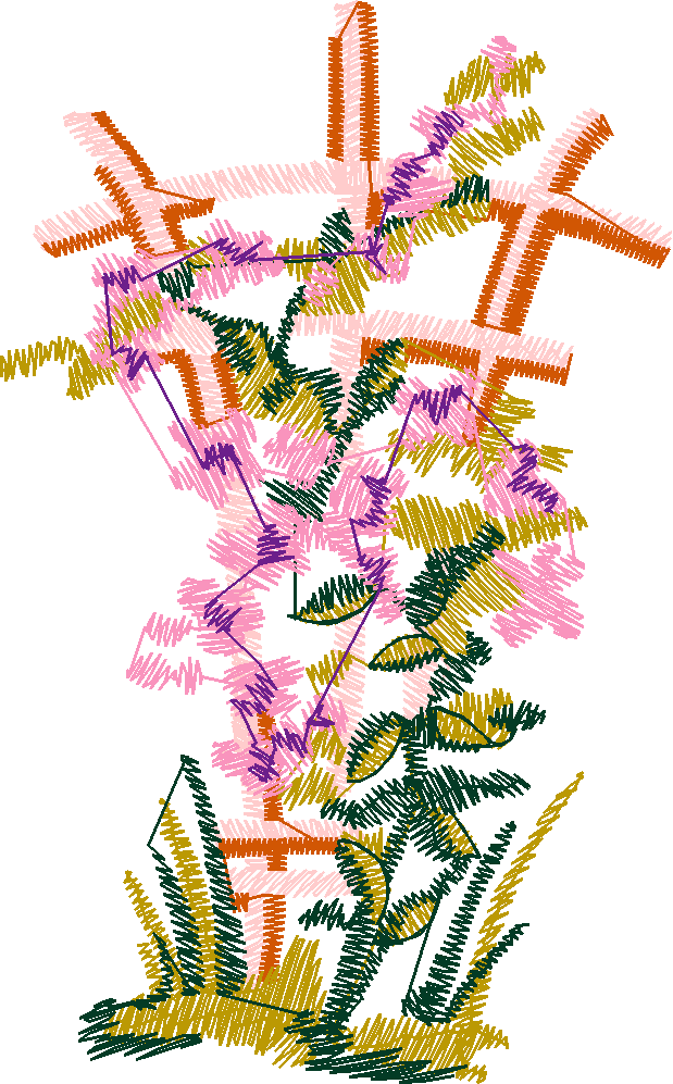 Nz13 012