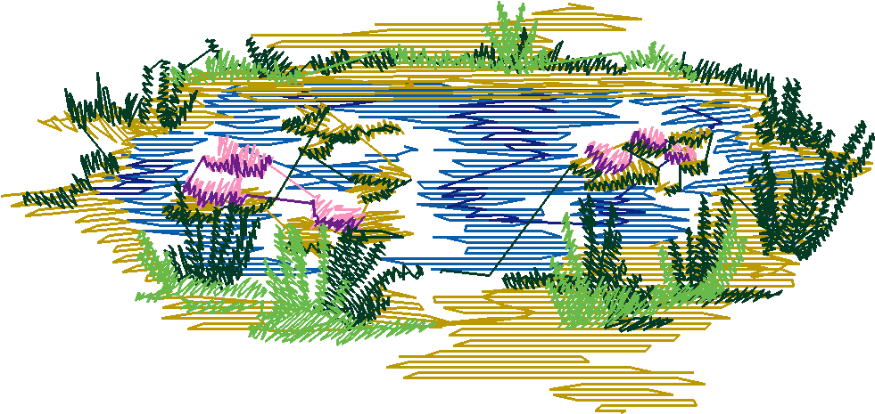 Nz13 013