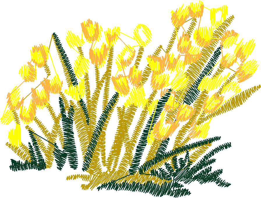Nz13 014