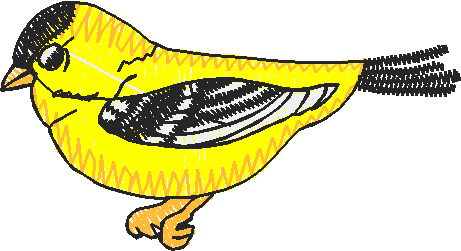 Nz5 003