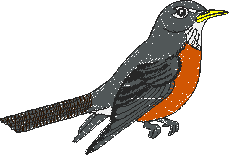 Nz5 010