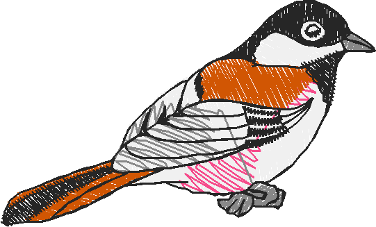 Nz5 012