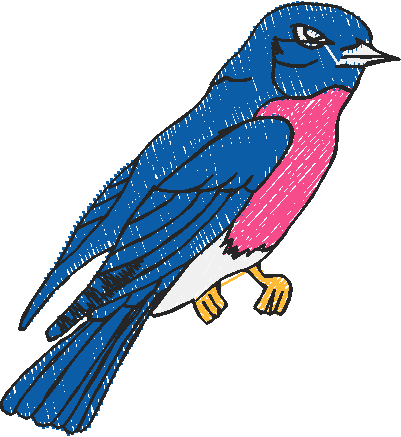 Nz5 013