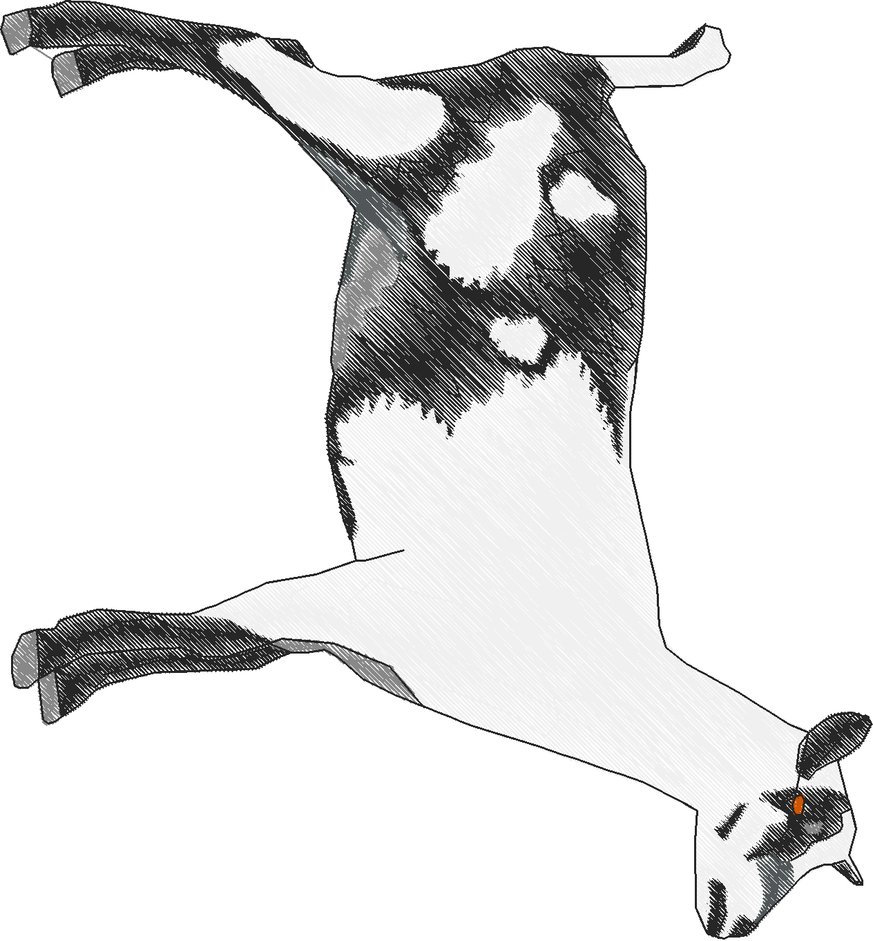 Goats 1  (4)