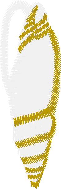 Golden Jewellery 1 (11)