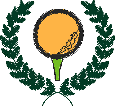Golf 1  (14)