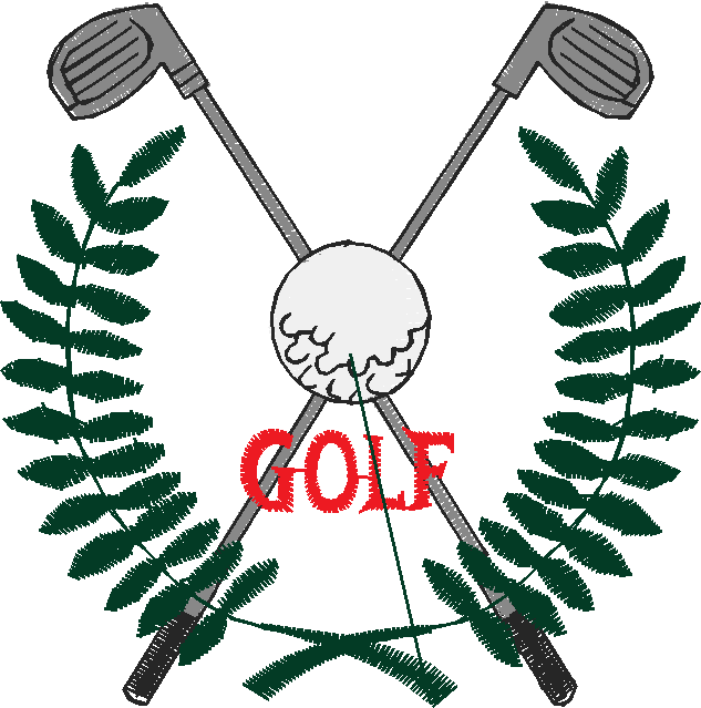 Golf 6  (3)