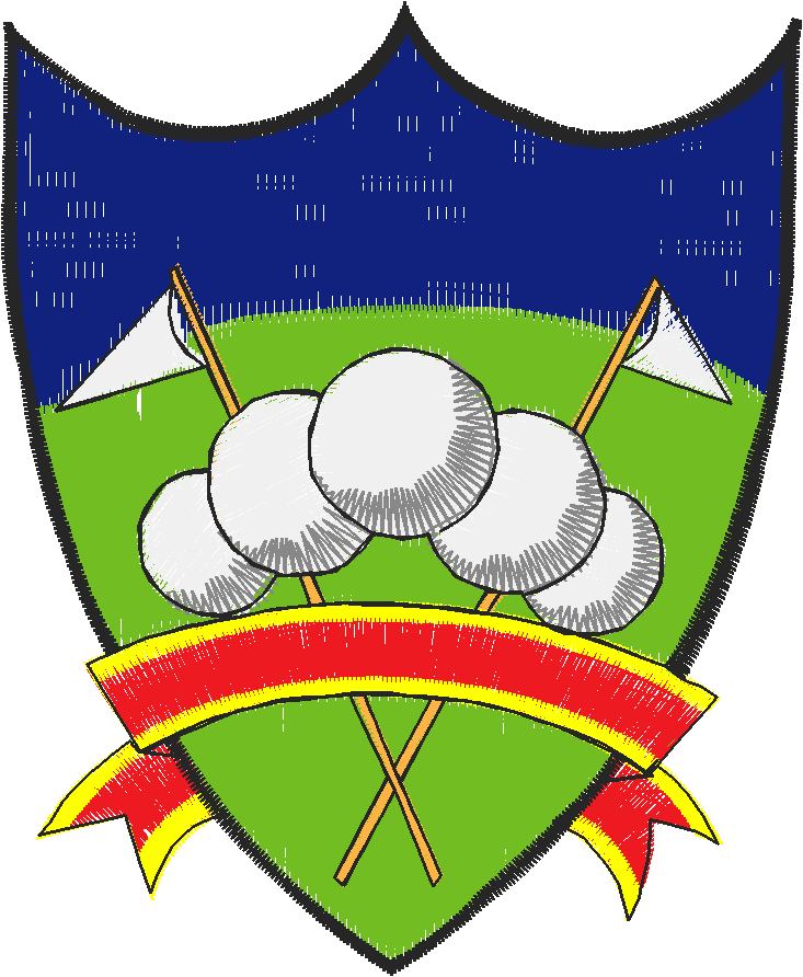 Sp313