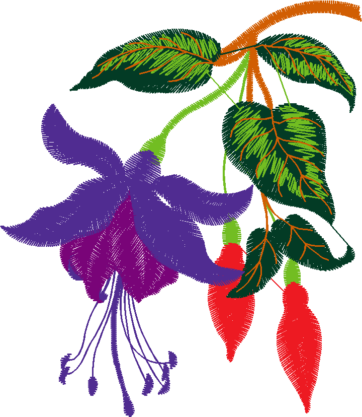 Hatched Africa 1  (16)