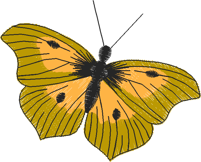 Hatched Africa 1  (3)