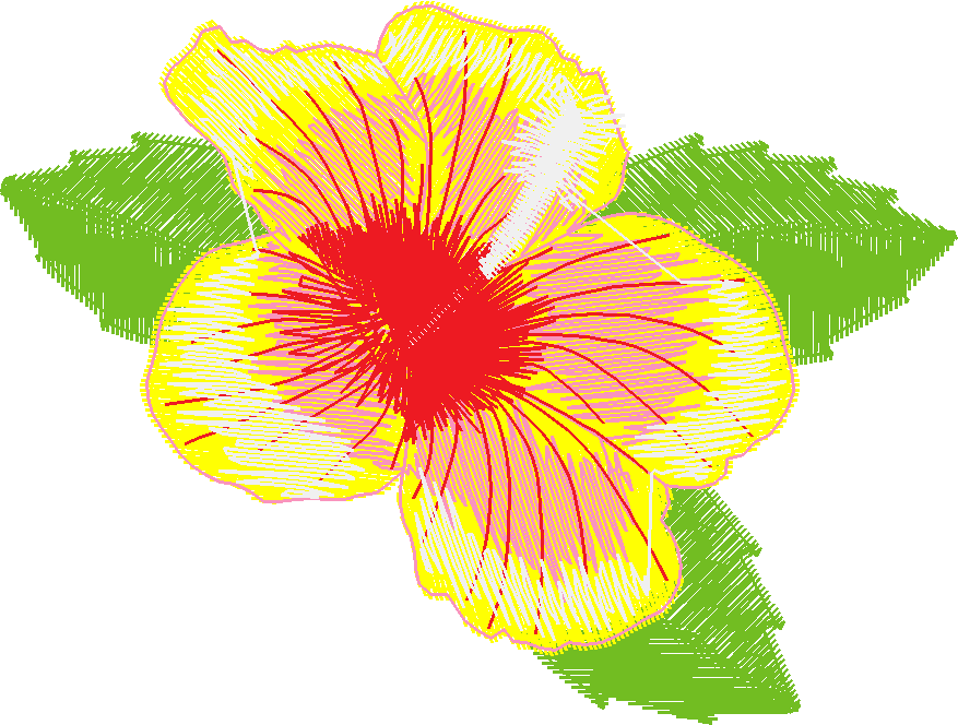 Hawaii 1  (15)