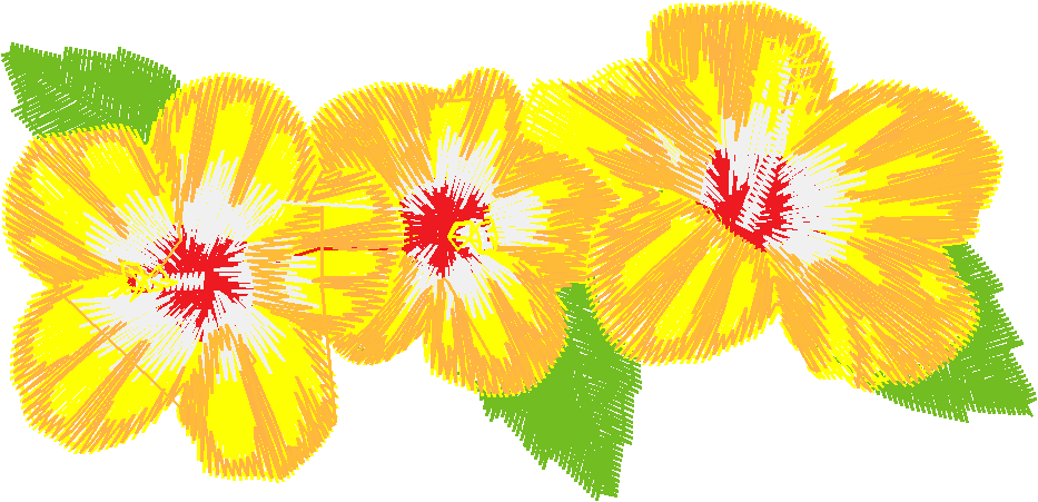Hawaii 1  (2)