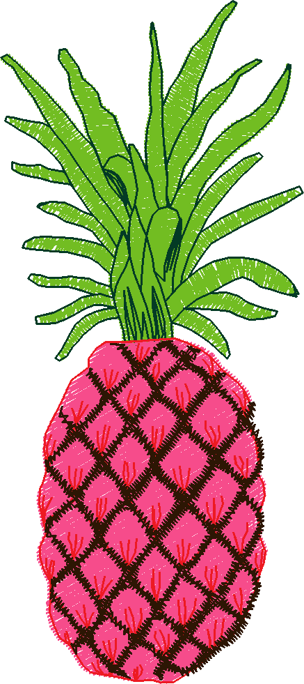 Hawaii 2  (12)