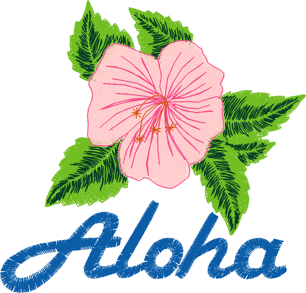 Hawaii 2  (17)