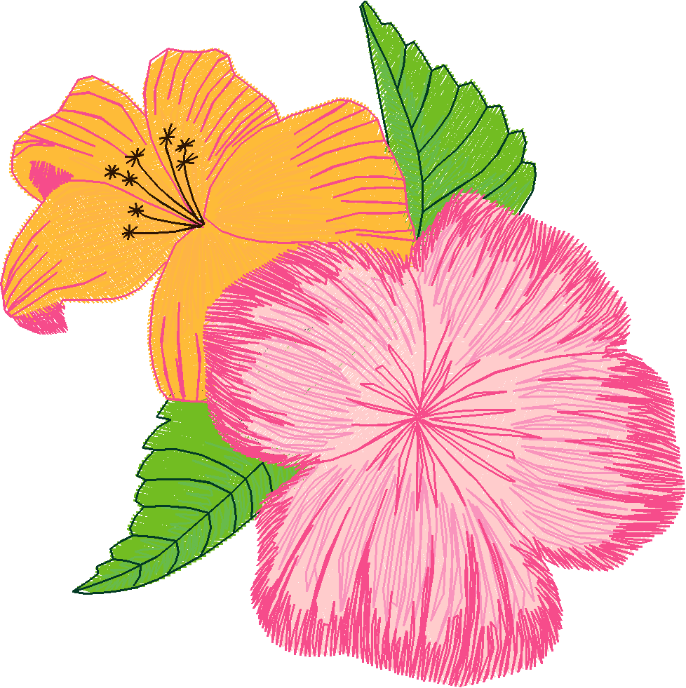 Hawaii 2  (6)