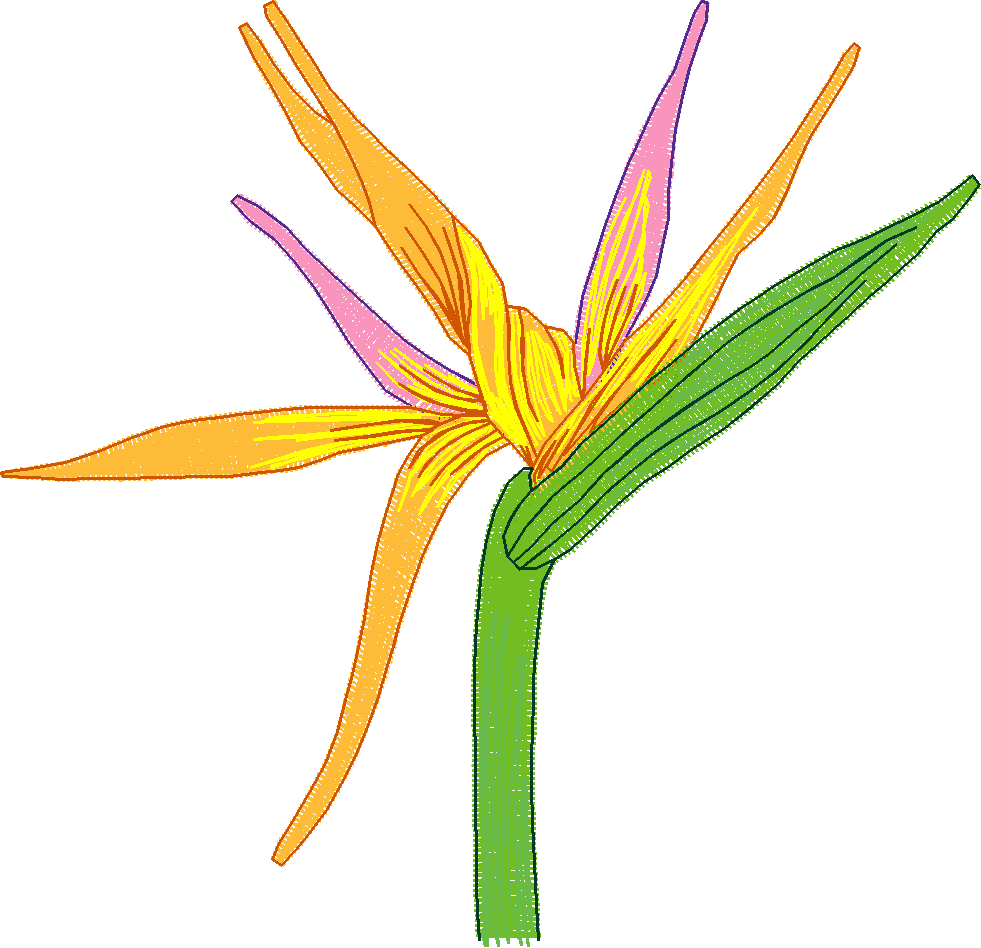 Hawaii 2  (9)