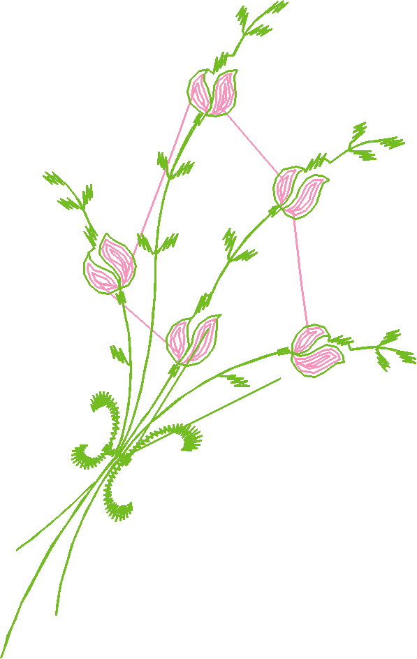 Heirloom 20   Flowers (10)
