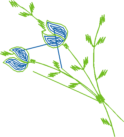 Heirloom 20   Flowers (11)