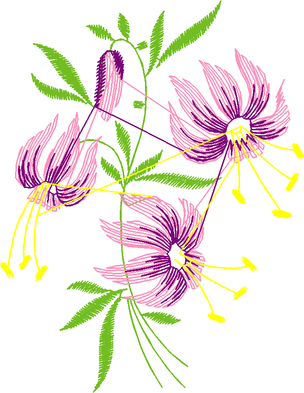 Heirloom 20   Flowers (4)