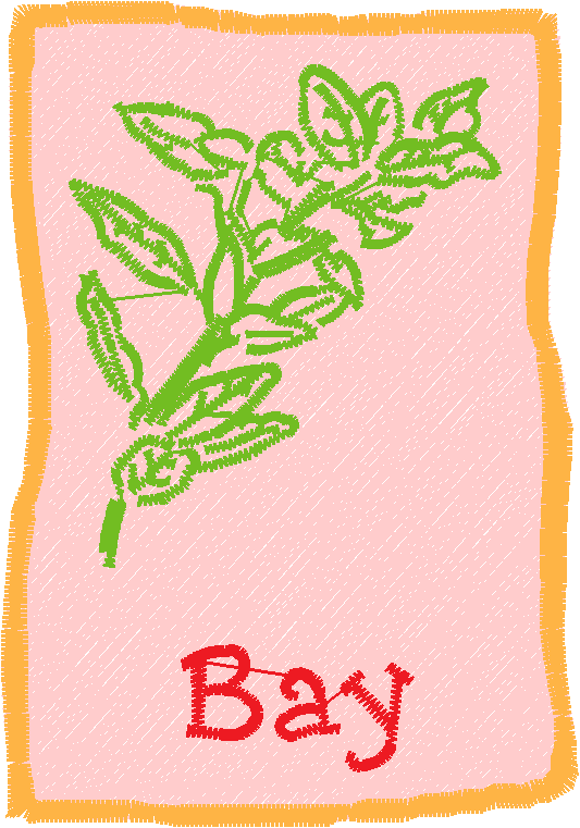 Herb Packets 1  (14)