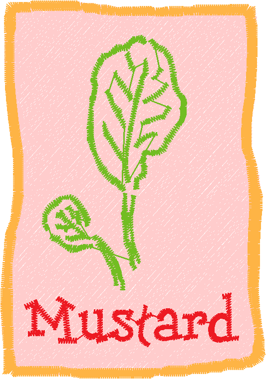 Herb Packets 1  (4)