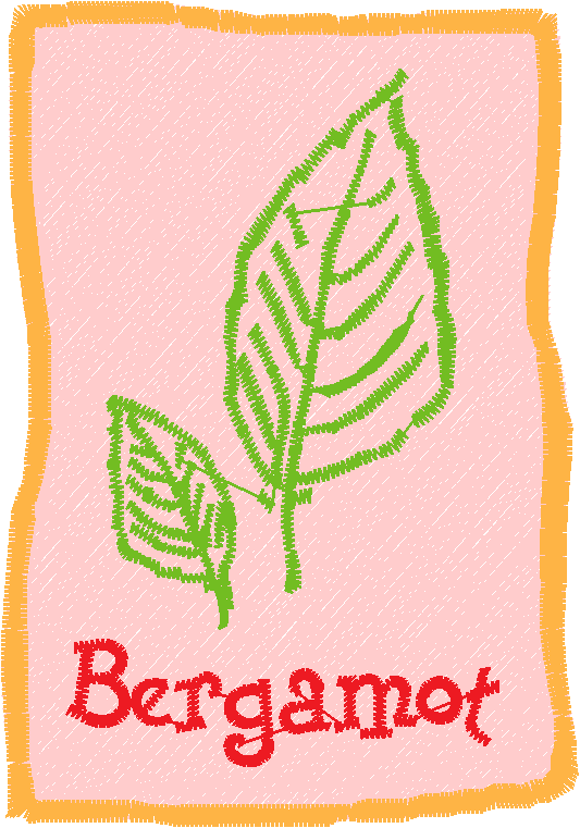 Herb Packets 1  (8)