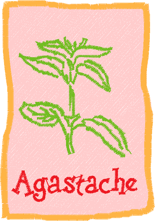 Herb Packets 1  (9)