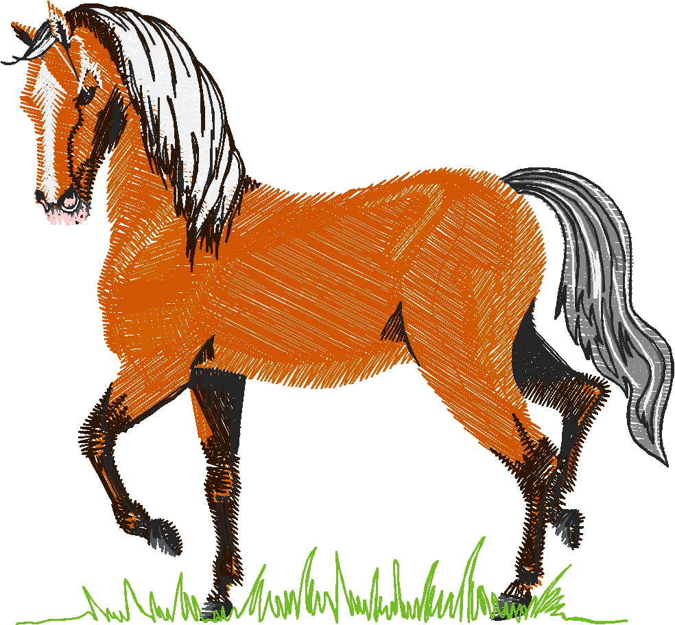 Horse & Equipment