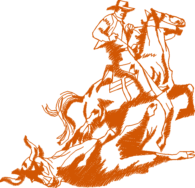 Horse & Equipment 1 (14)