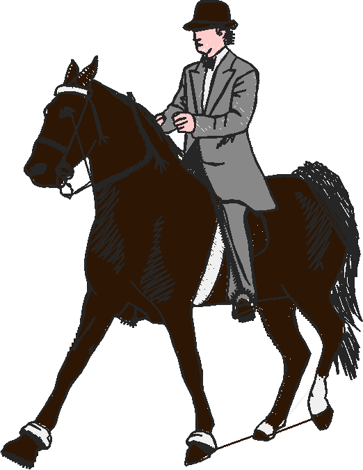 Horse & Equipment 1 (16)