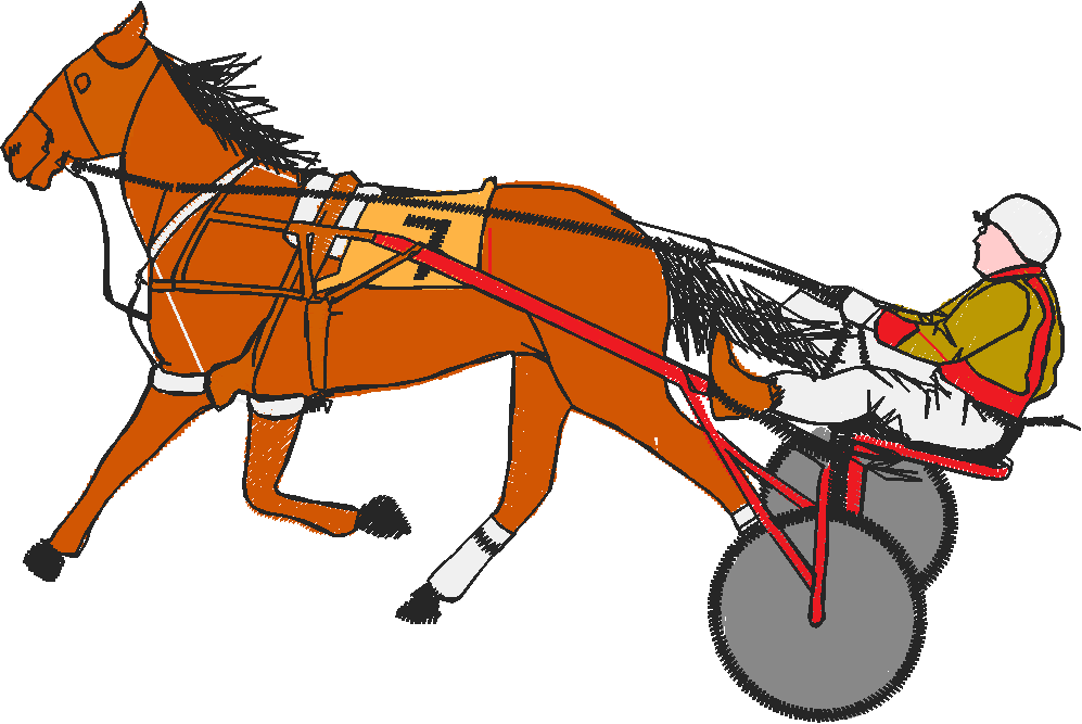 Horse & Equipment 1 (6)