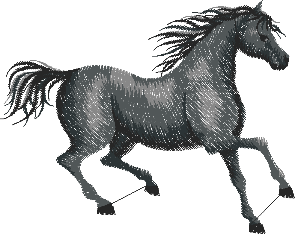 Horses 1  (11)