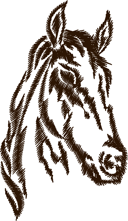 Horses 1  (17)