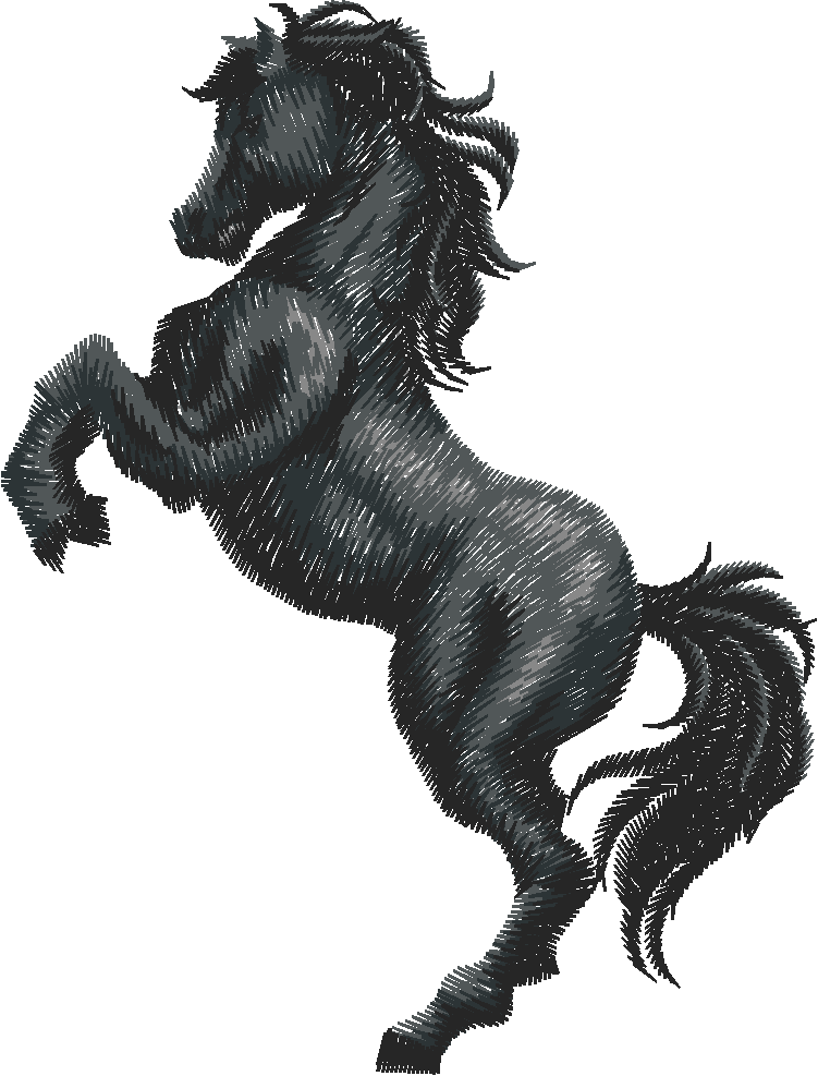 Horses 1  (9)