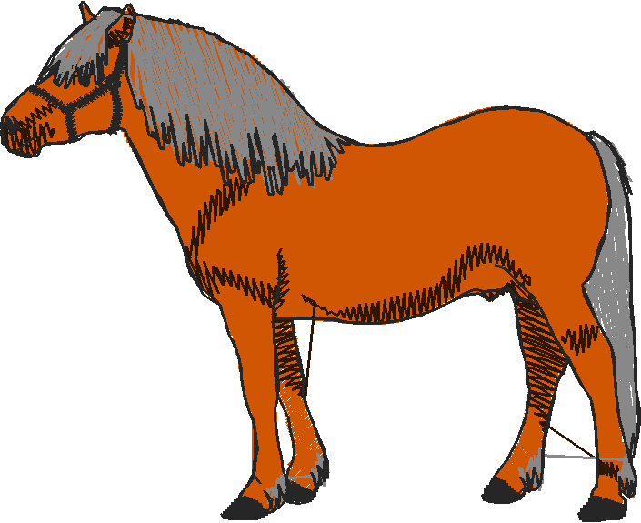 Horses 10 (1)