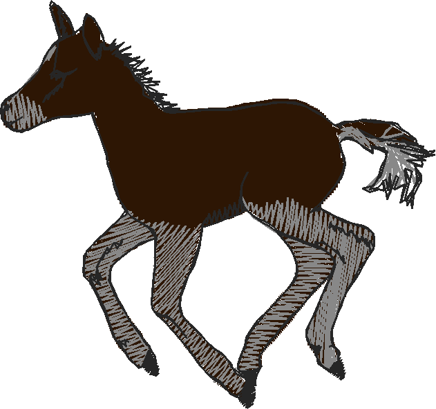 Horses 10 (12)