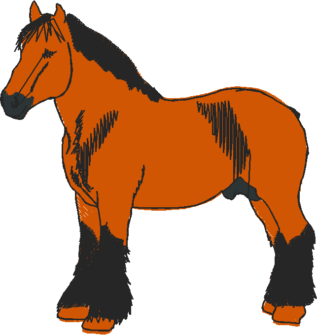 Horses 10 (13)