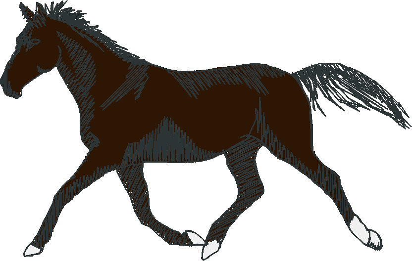 Horses 10 (19)